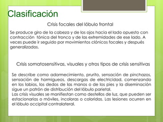 Clasificación
Crisis focales del lóbulo frontal
Se produce giro de la cabeza y de los ojos hacia el lado opuesto con
contracción tónica del tronco y de las extremidades de ese lado. A
veces puede ir seguido por movimientos clónicos focales y después
generalizados.
Crisis somatosensitivas, visuales y otros tipos de crisis sensitivas
Se describe como adormecimiento, prurito, sensación de pinchazos,
sensación de hormigueos, descargas de electricidad, comenzando
en los labios, los dedos de las manos o de los pies y la diseminación
sigue un patrón de distribución del lóbulo parietal.
Las crisis visuales se manifiestan como destellos de luz, que pueden ser
estacionarias o móviles, incoloras o coloridas. Las lesiones ocurren en
el lóbulo occipital contralateral.
 