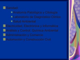 Sanidad:
     Anatomía Patológica y Citología
     Laboratorio de Diagnóstico Clínico
     Salud Ambiental
Electricidad, Electrónica y Informática
Análisis y Control. Química Ambiental
Administración y Comercio
Automoción y Construcción Civil
 