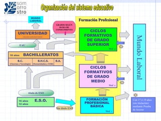 Formación Profesional
MUNDO
LABORAL
UNIVERSIDAD
GRADOS UNIVERSITARIOS
18 años BACHILLERATOS
16 años E.S.O.
12 años
CICLOS
FORMATIVOS
DE GRADO
SUPERIOR
Nivel 3
CICLOS
FORMATIVOS
DE GRADO
MEDIO
Nivel 2
FORMACIÓN
PROFESIONAL
BÁSICA
Nivel 1
B.A.B.H.C.S.
(Humanidades y CCSS)
B.C.
(Ciencias y Tecnología)
EAU
Sin título ESO
GRADOS SEGÚN
RAMA DE
CONOCIMIENTO
Con 17 ó 19 años
(sin titulación)
mediante Prueba
de Acceso
MundoLaboral
título de ESO
 