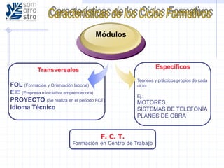 Específicos
Teóricos y prácticos propios de cada
ciclo:
Ej.:
MOTORES
SISTEMAS DE TELEFONÍA
PLANES DE OBRA
Transversales
FOL (Formación y Orientación laboral)
EIE (Empresa e iniciativa emprendedora)
PROYECTO (Se realiza en el periodo FCT)
Idioma Técnico
Módulos
F. C. T.
Formación en Centro de Trabajo
 