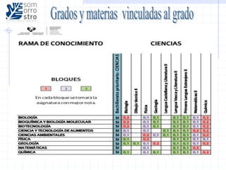 Orientación interna: salidas desde bachillerato