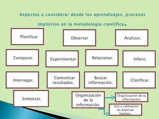 Aspectos a considerar desde los aprendizajes, procesos implícitos en la metodologia científica . Observar a  Planificar a Comparar. a Analizar. a Experimentar Re Relacionar. a Inferir. a Interrogar. a Comunicar resultados. a Clasificar. Buscar información. Organización de la información. A Sintetizar.  Organización de la información. a Uso y valoracion de diversas fuentes. 