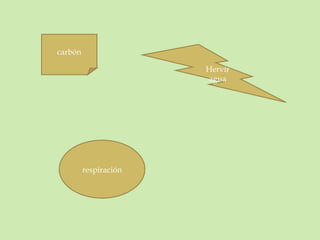 carbón Hervir agua respiración 