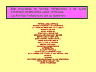 Está organizada en Familias Profesionales, a las cuales pertenecen los diferentes Ciclos Formativos. Las Familias Profesionales son las siguientes: ACTIVIDADES AGRARIAS ACTIVIDADES FÍSICAS Y DEPORTIVAS ACTIVIDADES MARÍTIMO – PESQUERAS ADMINISTRACIÓN ARTES GRÁFICAS COMERCIO Y MARKETING COMUNICACIÓN, IMAGEN Y SONIDO EDIFICACIÓN Y OBRA CIVIL ELECTRICIDAD Y ELECTRÓNICA FABRICACIÓN MECÁNICA HOSTELERÍA Y TURISMO IMAGEN PERSONAL INDUSTRIAS ALIMENTARIAS INFORMÁTICA MADERA Y MUEBLE VEHÍCULOS AUTOPROPULSADOS MANTENIMIENTO Y SERVICIOS A LA PRODUCCIÓN QUÍMICA SANIDAD SERVICIOS SOCIOCULTURALES Y A LA COMUNIDAD TEXTIL, CONFECCIÓN Y PIEL VIDRIO Y CERÁMICA I 