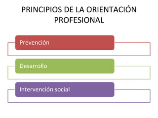 Prevención
Desarrollo
Intervención social
PRINCIPIOS DE LA ORIENTACIÓN
PROFESIONAL
 