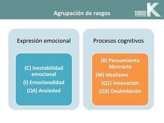 Agrupación de rasgos
Expresión emocional
(C) Inestabilidad
emocional
(I) Emocionalidad
(Q4) Ansiedad
Procesos cognitivos
(B) Pensamiento
Abstracto
(M) Idealismo
(Q1) Innovación
(Q3) Deshinbición
 