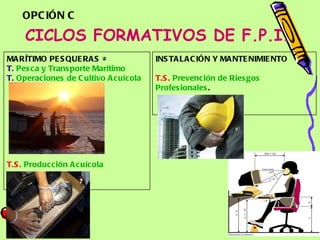 CICLOS FORMATIVOS DE F.P.I. INSTALACIÓN Y MANTENIMIENTO T.S.   Prevención  de  Riesgos   Profesionales .  MARÍTIMO PESQUERAS ≠ T.   Pesca  y  Transporte   Marítimo   T.   Operaciones  de  Cultivo   Acuícola T.S.   Producción   Acuícola OPCIÓN C 