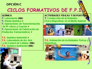 CICLOS FORMATIVOS DE F.P.I. ACTIVIDADES FÍSICAS Y DEPORTIVAS T.   Conducción  de  Actividades   Físico-Deportivas  en el  Medio  Natural   T.S.   Animación  de  Actividades   Físicas  y  Deportivas QUÍMICA T.   Laboratorio  (MA)   T.   Planta   Química  ≠ T.   Operaciones  de  Transformación  de  Plásticos  y  Caucho  ≠ T.   Operaciones  de  Fabricación  de  Productos   Farmacéuticos  ≠ T.S.   Química  Industrial  ≠ T.S.   Laboratorio  de  Análisis  y de Control de  Calidad   (MA) T.S.   Química   Ambiental  (MA) OPCIÓN C 