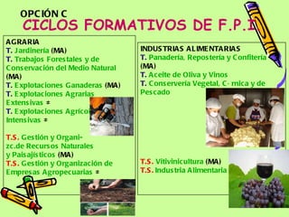 CICLOS FORMATIVOS DE F.P.I. INDUSTRIAS ALIMENTARIAS T.  Panadería ,  Repostería  y  Confitería  (MA)   T.   Aceite  de  Oliva  y  Vinos   T.   Conservería  Vegetal,  Cárnica  y de  Pescado   T.S.   Vitivinicultura  (MA) T.S.   Industria   Alimentaria   AGRARIA T.   Jardinería  (MA)  T.   Trabajos   Forestales  y de  Conservación  del  Medio  Natural  (MA)  T.   Explotaciones   Ganaderas  (MA)  T.   Explotaciones   Agrarias   Extensivas  ≠ T.   Explotaciones   Agrícolas   Intensivas  ≠ T.S.   Gestión  y  Organi - zc.de   Recursos   Naturales   y  Paisajísticos  (MA) T.S.   Gestión  y  Organización  de  Empresas   Agropecuarias  ≠ OPCIÓN C 