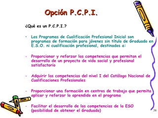 Opción P.C.P.I. ¿Qué es un P.C.P.I.? Los Programas de Cualificación Profesional Inicial son programas de formación para jóvenes sin título de Graduado en E.S.O. ni cualificación profesional, destinados a: Proporcionar y reforzar las competencias que permitan el desarrollo de un proyecto de vida social y profesional satisfactorio Adquirir las competencias del nivel I del Catálogo Nacional de Cualificaciones Profesionales Proporcionar una formación en centros de trabajo que permita aplicar y reforzar lo aprendido en el programa Facilitar el desarrollo de las competencias de la ESO (posibilidad de obtener el Graduado) 