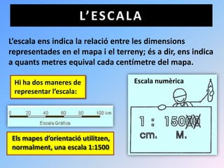 L’ E S C A L A
L’escala ens indica la relació entre les dimensions
representades en el mapa i el terreny; és a dir, ens indica
a quants metres equival cada centímetre del mapa.

 Hi ha dos maneres de               Escala numèrica
 representar l’escala:




Els mapes d’orientació utilitzen,
normalment, una escala 1:1500
 
