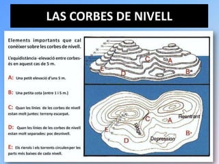 LAS CORBES DE NIVELL
 