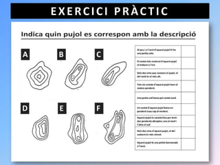 EXERCICI PRÀCTIC
 