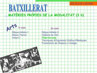 BATXILLERAT MATÈRIES PRÒPIES DE LA MODALITAT (3 h) Arts   Dibuix Artístic I Dibuix Tècnic Volum I  1r curs Dibuix Artístic II Història de l’Art Triar-ne una: Tècniques d’Expressió Gràfico-Plàstiques Fonaments de Disseny o Imatge   2n curs IES PLA DE ֳմ 