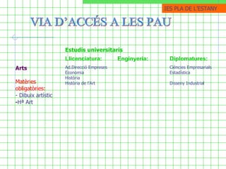 VIA D’ACCÉS A LES PAU  IES PLA DE ֳմ Ciències Empresarials Estadística  Disseny Industrial   Ad.Direcció Empreses Economia Història Història de l’Art   Arts Matèries obligatòries: - Dibuix artístic Hª Art   Diplomatures: Enginyeria: Llicenciatura: Estudis universitaris  