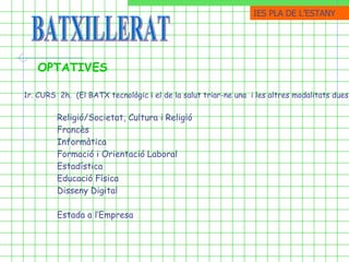 BATXILLERAT OPTATIVES 1r. CURS  2h.  (El BATX tecnològic i el de la salut triar-ne una  i les altres modalitats dues) Religió/Societat, Cultura i Religió  Francès Informàtica Formació i Orientació Laboral Estadística Educació Física Disseny Digital Estada a l’Empresa IES PLA DE ֳմ 