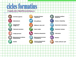 cicles formatius FAMÍLIES PROFESSIONALS 