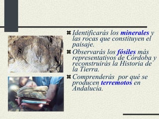 Identificarás los  minerales  y  las rocas que constituyen el paisaje. Observarás los  fósiles  más representativos de Córdoba y reconstruirás la Historia de la Tierra. Comprenderás  por qué se producen  terremotos  en Andalucía. 