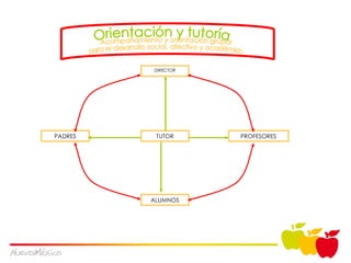 DIRECTOR PROFESORES TUTOR ALUMNOS PADRES Acompañamiento y orientación grupal para el desarrollo social, afectivo y académico Orientación y tutoría 