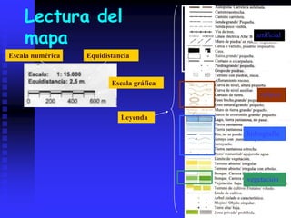 Lectura del
mapa
Escala numérica Equidistancia
Escala gráfica
Leyenda
vegetación
hidrografía
relieve
artificial
 