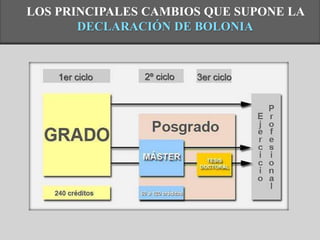 LOS PRINCIPALES CAMBIOS QUE SUPONE LA
DECLARACIÓN DE BOLONIA
 