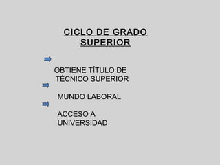 CICLO DE GRADO
SUPERIOR
OBTIENE TÍTULO DE
TÉCNICO SUPERIOR
MUNDO LABORAL
ACCESO A
UNIVERSIDAD
 