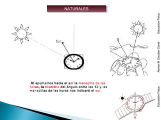 NATURALESNATURALES
Si apuntamos hacia el sol la manecilla de las
horas, la bisectriz del ángulo entre las 12 y las
manecillas de las horas nos indicará el sur.
EducaciónFísicaAlonsoM.EscobarCorralEducaciónFísicaEducaciónFísicaAlonsoM.EscobarCorralEducaciónFísica
 