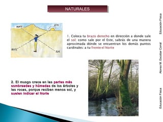 NATURALESNATURALES
2. El musgo crece en las2. El musgo crece en las partes máspartes más
sombreadas y húmedassombreadas y húmedas de los árboles yde los árboles y
las rocas, porque reciben menos sol, ylas rocas, porque reciben menos sol, y
suelen indicar el Nortesuelen indicar el Norte
EducaciónFísicaAlonsoM.EscobarCorralEducaciónFísicaEducaciónFísicaAlonsoM.EscobarCorralEducaciónFísica
 