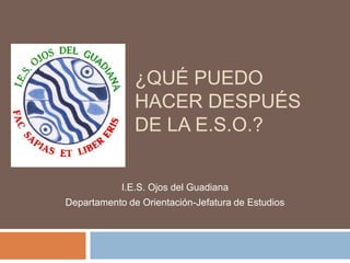 ¿QUÉ PUEDO
               HACER DESPUÉS
               DE LA E.S.O.?


            I.E.S. Ojos del Guadiana
Departamento de Orientación-Jefatura de Estudios
 