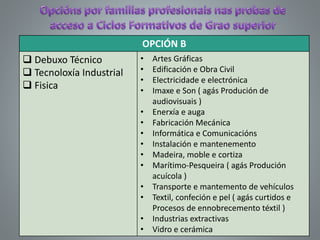 OPCIÓN B
 Debuxo Técnico
 Tecnoloxía Industrial
 Fisica
• Artes Gráficas
• Edificación e Obra Civil
• Electricidade e electrónica
• Imaxe e Son ( agás Produción de
audiovisuais )
• Enerxía e auga
• Fabricación Mecánica
• Informática e Comunicacións
• Instalación e mantenemento
• Madeira, moble e cortiza
• Marítimo-Pesqueira ( agás Produción
acuícola )
• Transporte e mantemento de vehículos
• Textil, confeción e pel ( agás curtidos e
Procesos de ennobrecemento téxtil )
• Industrias extractivas
• Vidro e cerámica
 