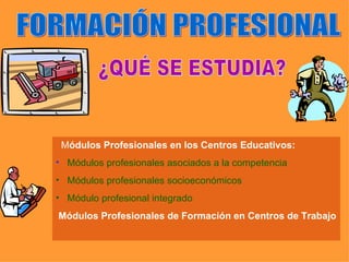    M ódulos Profesionales  en  los Centros Educativos: Módulos profesionales asociados a la competencia Módulos profesionales socioeconómicos Módulo profesional integrado   Módulos Profesionales de Formación en Centros de Trabajo FORMACIÓN PROFESIONAL ¿QUÉ SE ESTUDIA? 