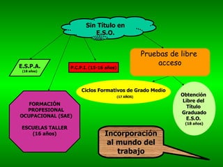 Sin Título en E.S.O. P.C.P.I. (15-16 años) Pruebas de libre  acceso Incorporación al mundo del trabajo Ciclos Formativos de Grado Medio (17 AÑOS) Obtención  Libre del  Título  Graduado E.S.O.  (18 años) FORMACIÓN PROFESIONAL OCUPACIONAL (SAE) ESCUELAS TALLER (16 años) E.S.P.A. (18 años) 