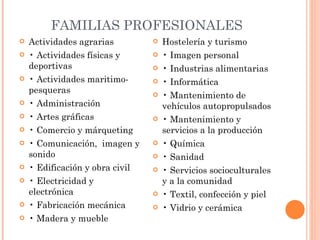 FAMILIAS PROFESIONALES Actividades agrarias •  Actividades físicas y deportivas •  Actividades maritimo-pesqueras •  Administración •  Artes gráficas •  Comercio y márqueting •  Comunicación,  imagen y sonido •  Edificación y obra civil •  Electricidad y electrónica •  Fabricación mecánica  •  Madera y mueble Hostelería y turismo •  Imagen personal •  Industrias alimentarias •  Informática •  Mantenimiento de vehículos autopropulsados •  Mantenimiento y servicios a la producción •  Química •  Sanidad •  Servicios socioculturales y a la comunidad •  Textil, confección y piel •  Vidrio y cerámica 