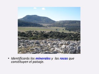 • Identificarás los minerales y las rocas que
constituyen el paisaje.
 