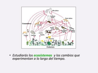 • Estudiarás los ecosistemas y los cambios que
experimentan a lo largo del tiempo.
 
