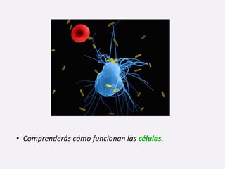 • Comprenderás cómo funcionan las células.
 