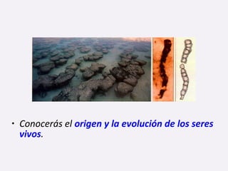 • Conocerás el origen y la evolución de los seres
vivos.
 