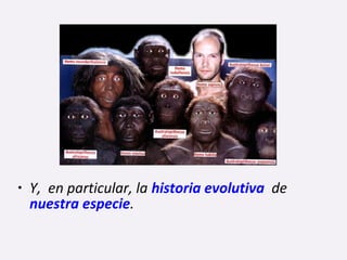 • Y, en particular, la historia evolutiva de
nuestra especie.
 