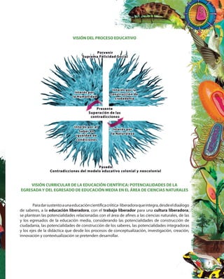 7
VISIÓN DEL PROCESO EDUCATIVO
VISIÓN CURRICULAR DE LA EDUCACIÓN CIENTÍFICA: POTENCIALIDADES DE LA
EGRESADA Y DEL EGRESADO DE EDUCACIÓN MEDIA EN EL ÁREA DE CIENCIAS NATURALES
Paradarsustentoaunaeducacióncientíficacriítica-liberadoraqueintegra,desdeeldiaálogo
de saberes, a la educación liberadora, con el trabajo liberador para una cultura liberadora,
se plantean las potencialidades relacionadas con el área de afines a las ciencias naturales, de las
y los egresados de la educación media, considerando las potencialidades de construcción de
ciudadanía, las potencialidades de construcción de los saberes, las potencialidades integradoras
y los ejes de la didáctica que desde los procesos de conceptualización, investigación, creación,
innovación y contextualización se pretenden desarrollar.
 