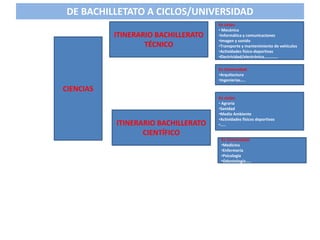 DE BACHILLETATO A CICLOS/UNIVERSIDAD
ITINERARIO BACHILLERATO
TÉCNICO
En ciclos:
• Mecánica
•Informática y comunicaciones
•Imagen y sonido
•Transporte y mantenimiento de vehículos
•Actividades físico-deportivas
•Electricidad/electrónica………….
En Universidad:
•Arquitectura
•Ingenierías…..
ITINERARIO BACHILLERATO
CIENTÍFICO
En ciclos:
• Agraria
•Sanidad
•Medio Ambiente
•Actividades físicos deportivas
•…..
En Universidad:
•Medicina
•Enfermería
•Psicología
•Odontología…..
CIENCIAS
 
