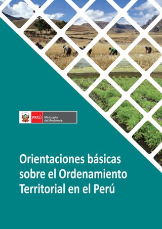 Orientaciones básicas
sobre el Ordenamiento
Territorial en el Perú
 