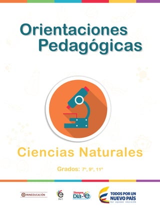 Ciencias Naturales
Pedagógicas
Orientaciones
Grados: 7º, 9º, 11º
 