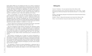 DGCyE / Subsecretaría de Educación 86 
grupo podría trabajar con los animales que viven en un tronco en proceso de 
descomposición. Los adultos acompañantes de cada pequeño grupo coordinarán 
la tarea, siguiendo la programación establecida. Para facilitar esta labor será 
necesario que, antes de la salida, les especifiquen la función para la cual los 
han convocado. Podrían entregarles una serie de preguntas con los aspectos a 
indagar en el lugar y solicitarles que anoten aquella información valiosa que 
surja de la observación y que no haya sido registrada por los chicos. 
Llevar un invertebrado a la sala tiene diferentes propósitos. Uno de ellos es 
poder identificarlo cuando se desconoce su nombre. Sugerimos compartir esto 
con los chicos, así como trabajar con ellos la importancia de tratarlo 
cuidadosamente para no dañarlo, recordándoles que, una vez identificado, será 
devuelto al medio. Para ello, antes de la salida habrá que preparar los dispositivos 
adecuados tanto para la captura y el transporte del animal como para recolectar 
materiales para poder reproducir el ambiente en el que vive. 
Estos son algunos de los elementos que necesitarían para hacerlo: succionador 
de bichos, frascos con tapa perforada, pinzas. (ver anexo p. 91) 
Otro de los propósitos es poder obtener información que, difícilmente podría 
recogerse en la salida “de campo”. En ciertas situaciones, la cría de algunos de 
estos animales en la sala brinda esta posibilidad. Por ejemplo, la construcción 
de un terrario (ver anexo, p. 94, ilustración lumbricario) permite observar la 
actividad que desarrollan las lombrices debajo del suelo y, de este modo, 
comprender en qué medida resultan beneficiosas para el crecimiento de las 
plantas. 
Para finalizar, recordamos que el trabajo con material bibliográfico y 
audiovisual brinda la posibilidad de completar la información obtenida hasta 
ese momento. En algunos casos, porque da respuesta a interrogantes planteados 
por los chicos, por ejemplo: ¿de dónde nacen los bichos? ¿Cómo tejen las arañas 
las telarañas? En otros, problemáticas propuestas por ustedes: ¿las hormigas 
comen las hojas? ¿Por qué las llevarán al hormiguero y no hacen como el caracol, 
que las come en el lugar? 
Con seguridad, la consulta del material bibliográfico y audiovisual dará la 
posibilidad de abordar nuevos aspectos sobre los invertebrados que no fueron 
trabajados hasta ese momento, por ejemplo, el ciclo de vida de alguno de ellos. 
Orientaciones didácticas para el nivel inicial - 4a parte - 
87 
Bibliografía 
Canevari, P. y Narosky, T., Cien aves argentinas. Buenos Aires, Albatros, 2002. 
Dirección de Educación Inicial, Orientaciones didácticas para el nivel inicial – 2ª parte. 
Documentos de la Revista de Educación. Serie desarrollo curricular n° 5, La Plata, DGCyE, 
2003. 
Narosky, T., Aves Argentinas. Guía para el reconocimiento de la avifauna bonaerense. Buenos 
Aires, Albatros, 1986. 
Narosky, T. y Bosso, A., Manual del observador de aves. Buenos Aires, Albatros, 1995. 
Olrog, C., Las aves argentinas. Una guía de campo. Buenos Aires, El Ateneo, 1995. 
 
