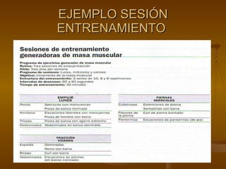 EJEMPLO SESIÓN ENTRENAMIENTO  
