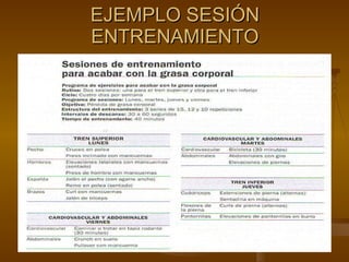 EJEMPLO SESIÓN ENTRENAMIENTO 