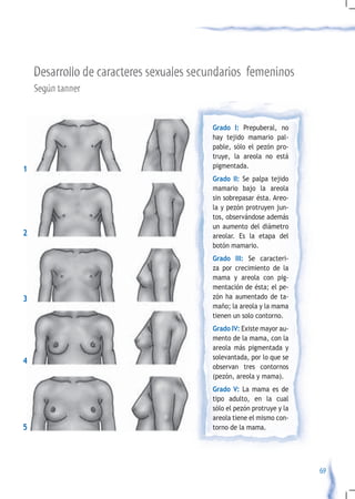 Desarrollo de caracteres sexuales secundarios femeninos
    Según tanner


                                         Grado I: Prepuberal, no
                                         hay tejido mamario pal-
                                         pable, sólo el pezón pro-
                                         truye, la areola no está
1                                        pigmentada.
                                         Grado II: Se palpa tejido
                                         mamario bajo la areola
                                         sin sobrepasar ésta. Areo-
                                         la y pezón protruyen jun-
                                         tos, observándose además
                                         un aumento del diámetro
2                                        areolar. Es la etapa del
                                         botón mamario.
                                         Grado III: Se caracteri-
                                         za por crecimiento de la
                                         mama y areola con pig-
                                         mentación de ésta; el pe-
3                                        zón ha aumentado de ta-
                                         maño; la areola y la mama
                                         tienen un solo contorno.
                                         Grado IV: Existe mayor au-
                                         mento de la mama, con la
                                         areola más pigmentada y
                                         solevantada, por lo que se
4
                                         observan tres contornos
                                         (pezón, areola y mama).
                                         Grado V: La mama es de
                                         tipo adulto, en la cual
                                         sólo el pezón protruye y la
                                         areola tiene el mismo con-
5                                        torno de la mama.




                                                                       69
 
