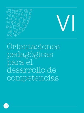 170
VI
Orientaciones
pedagógicas
para el
desarrollo de
competencias
 