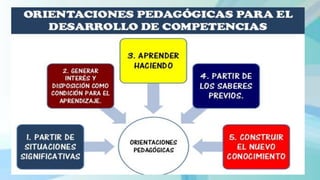 Orientaciones para el proceso de enseñanza aprendizaje | PDF