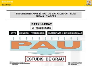 Selectivitat
Batxillerat
 
