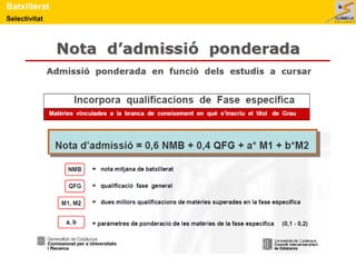 Selectivitat
Batxillerat
 